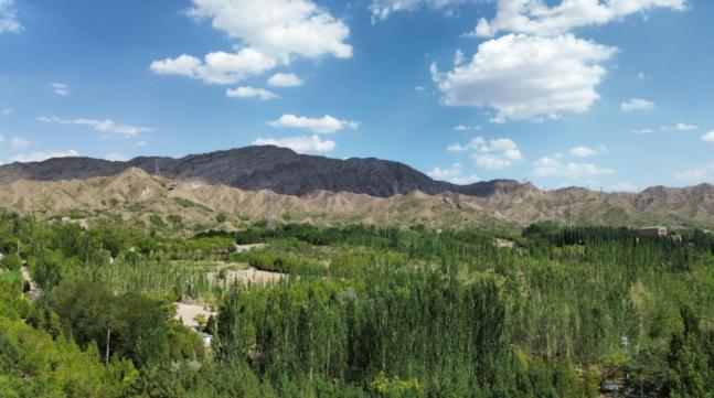 曾经寸草不生的甘德尔山如今满目葱茏,生机勃勃,林木已达2.8万亩.