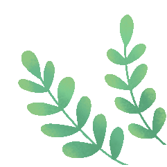 抖音如何开通旅游买票_抖音旅程_开启我的抖音之旅