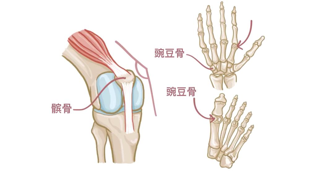 医学科普