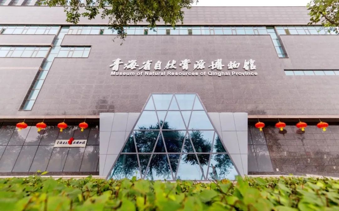 听说西宁这些“很有看头”的博物馆你还没打卡?