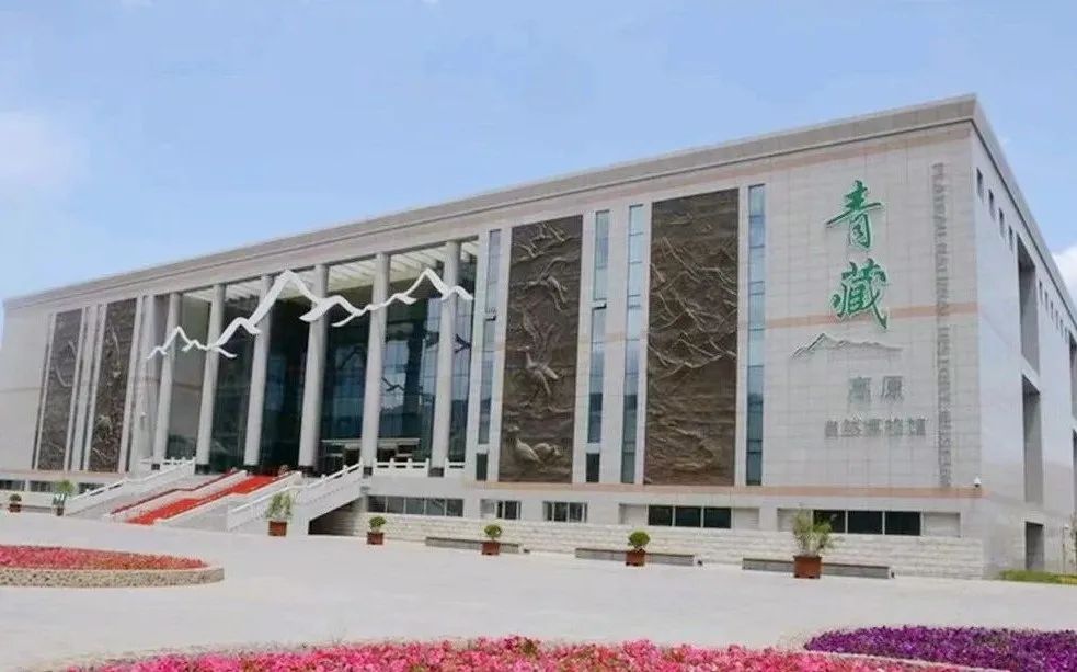 听说西宁这些“很有看头”的博物馆你还没打卡?