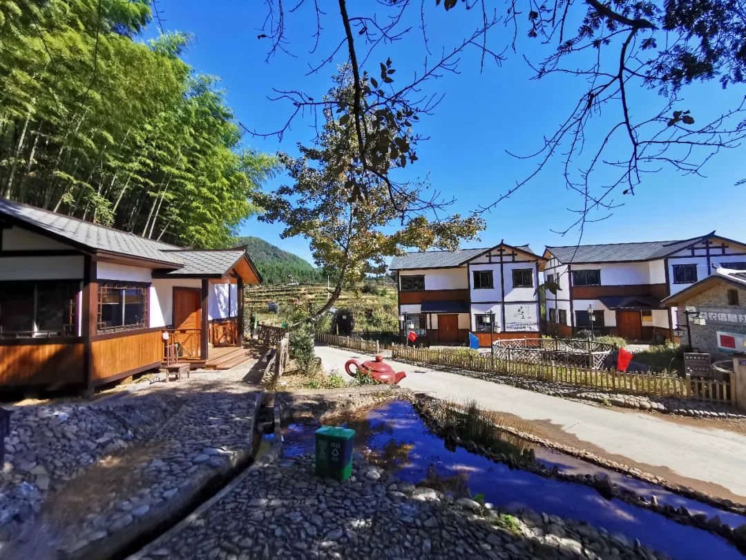 旦上是明溪最早一批试水观鸟旅游的村庄,近年来没有停下发展脚步,持续