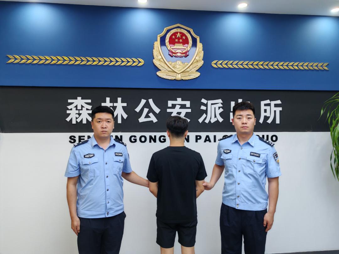 森林公安派出所:全力筑牢"防护墙" 守护平安有力度!