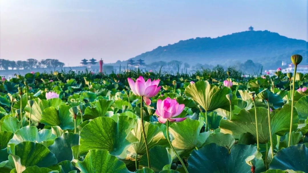 水滨湖滨照样子写图片