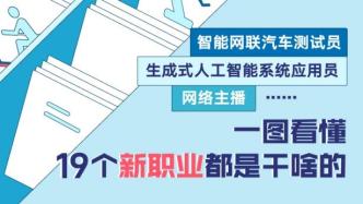 智能网联汽车测试员、生成式人工智能系统应用员、网络主播……一图看懂19个新职业都是干啥的