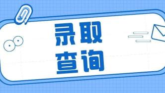 今天16:00后录取结果可查！附2024山东高考最后一次投档情况