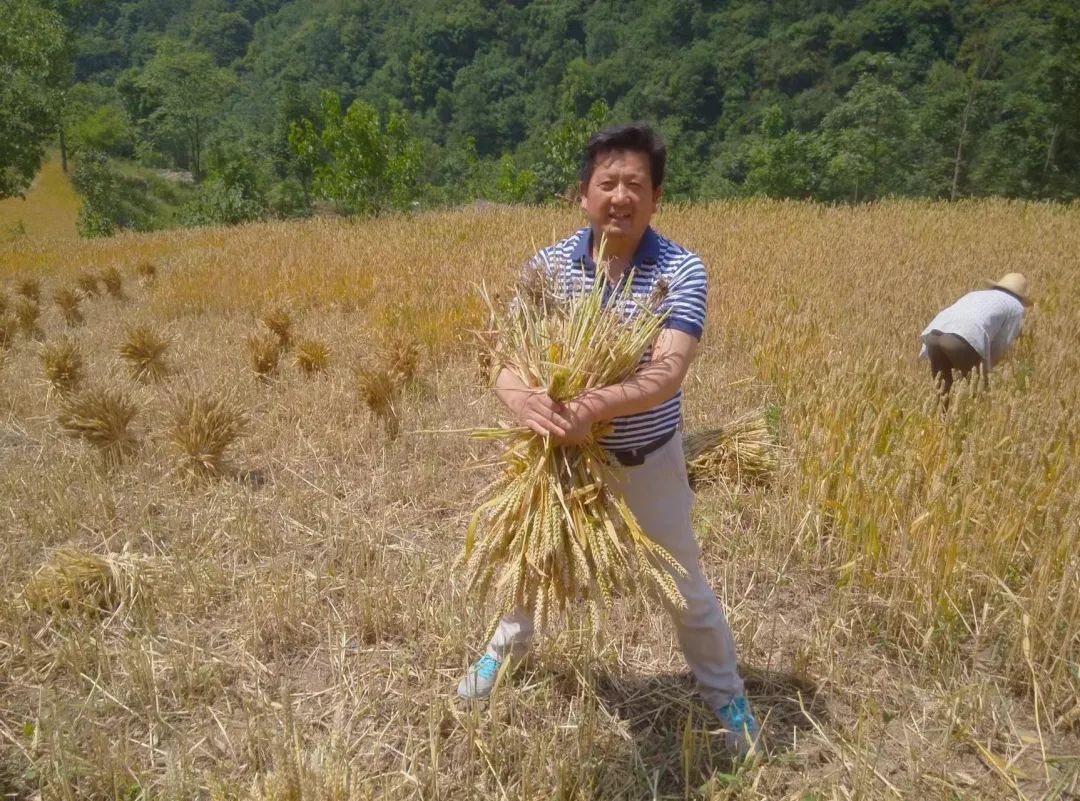 陕西渭南. 大学生自主创业.张占稳 (陕西渭南)20240630.贵州遵义.