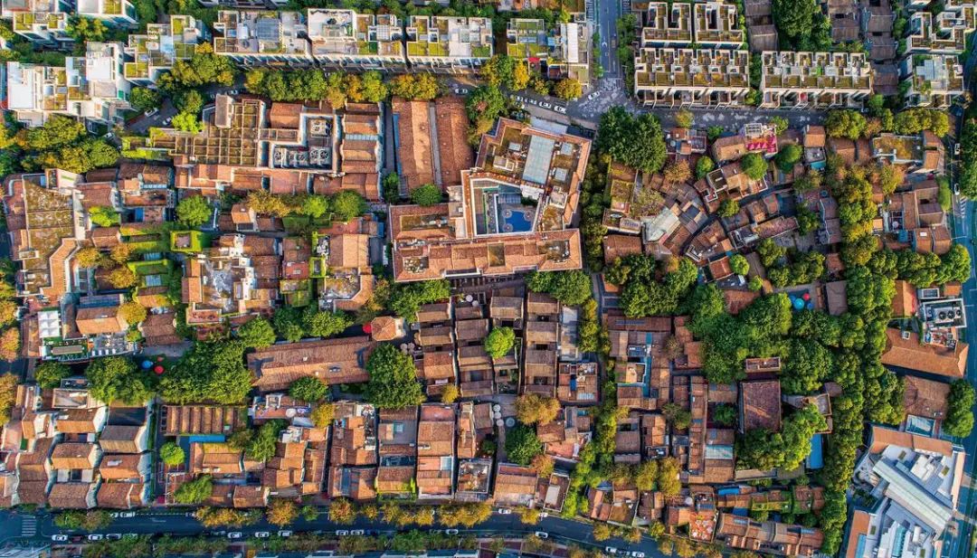 跟着明星宋佳,打卡禅城宝藏小镇!