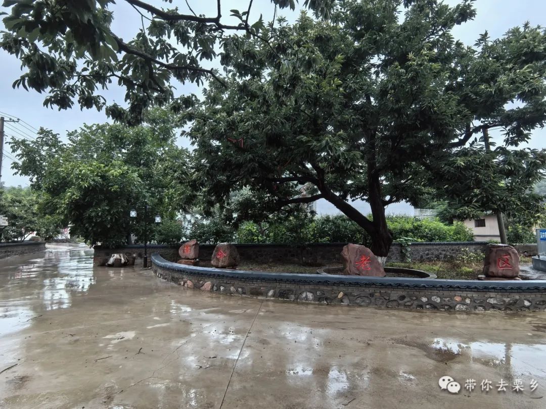 雨后乡村美景图片