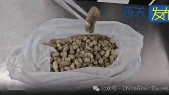 一袋糞便，居然被用做治病滋補的“偏方”？