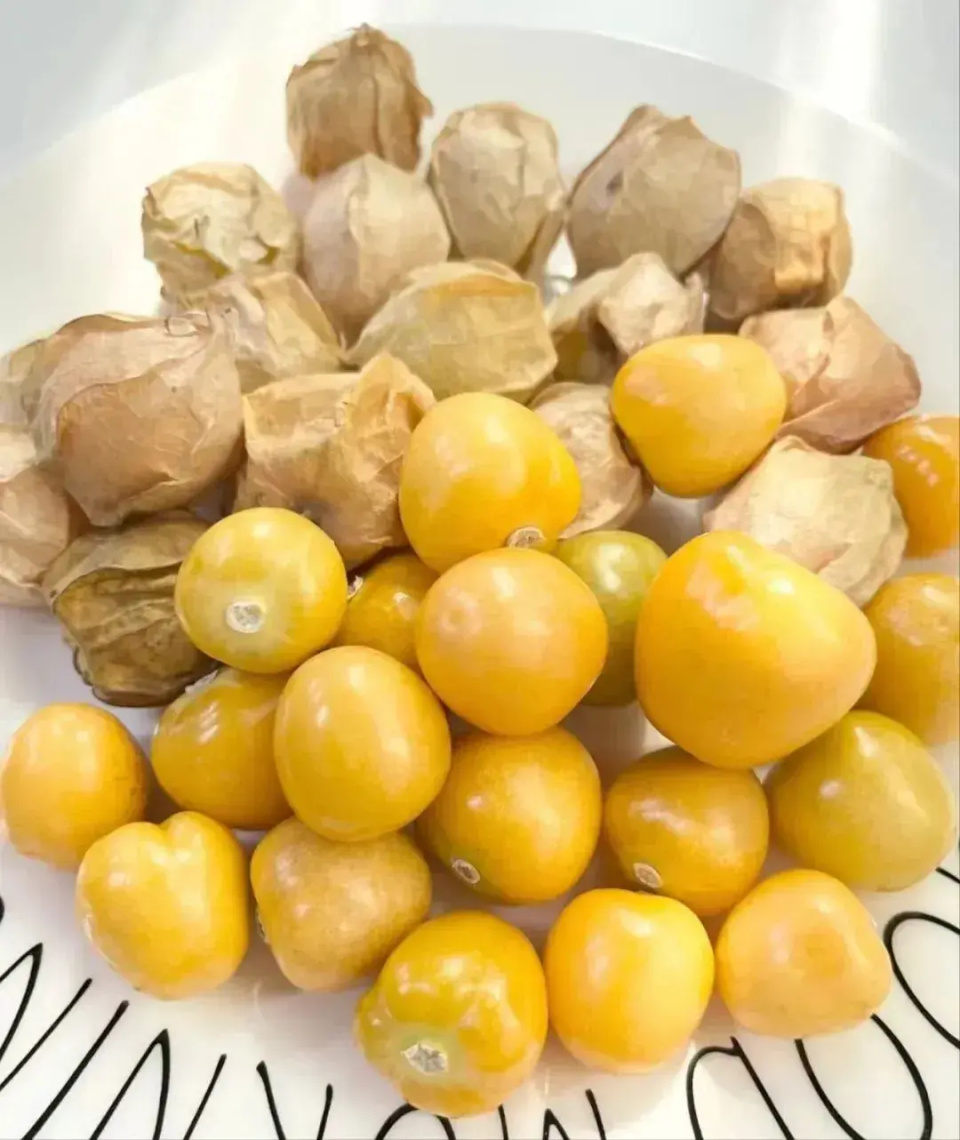 吉林必吃宝藏级水果