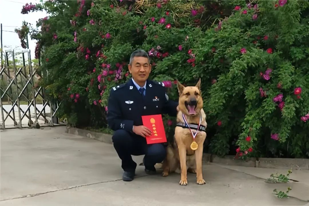 功勋犬墓碑图片