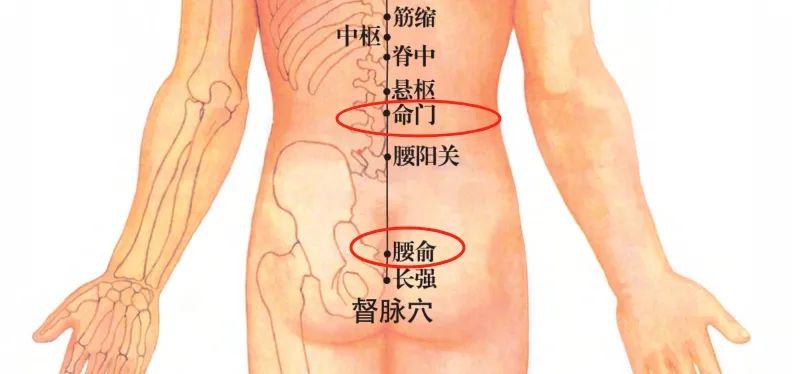拔罐为什么不可以拔腰 233.jpg