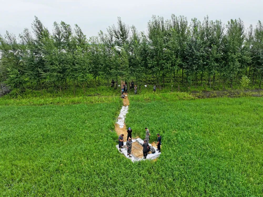 在位于德惠市的饮马河边岗乡丹城子村段,技术人员正深入低洼易涝等