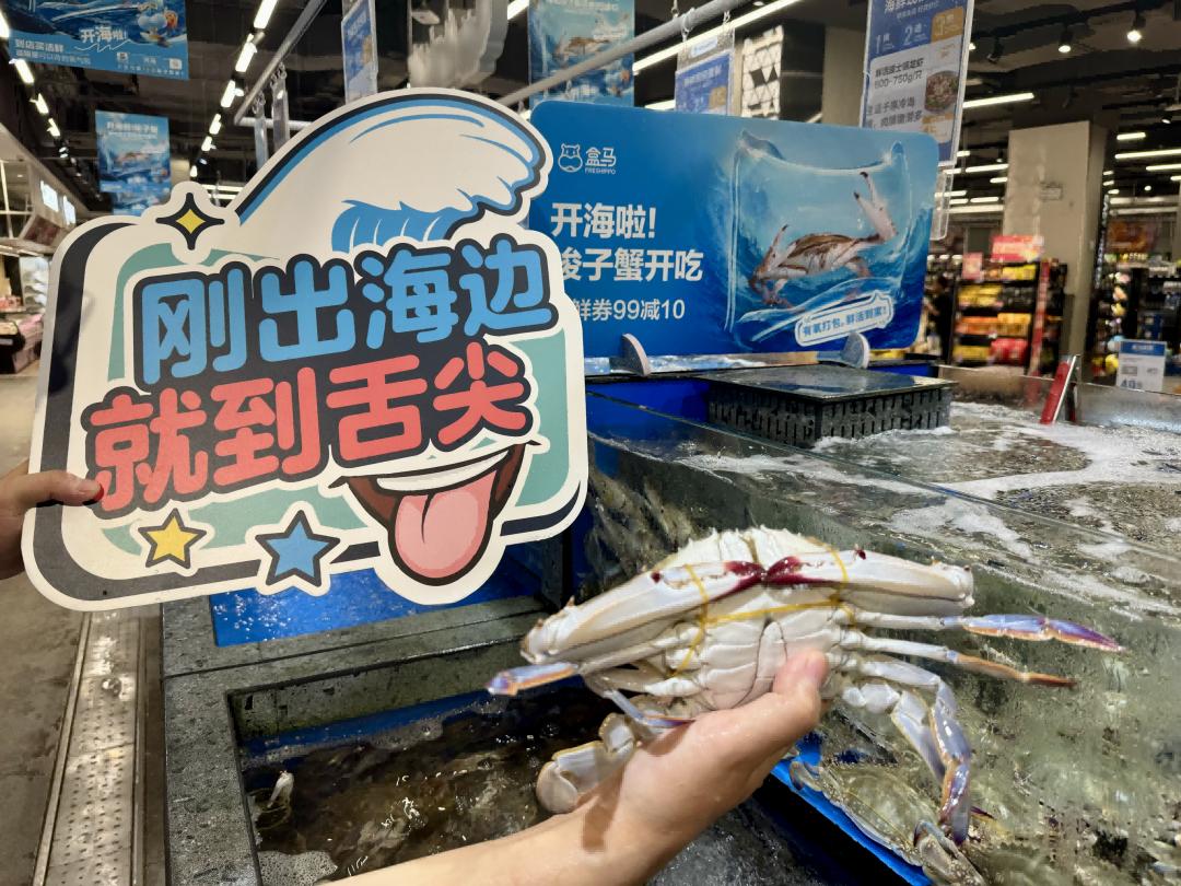 盒马水产采购李子涵介绍,今年基地扩建了江苏吕四港,海头港等产区,还