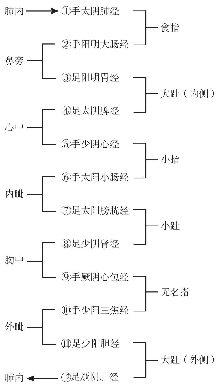 王博士讲穴位 中医经络的神奇