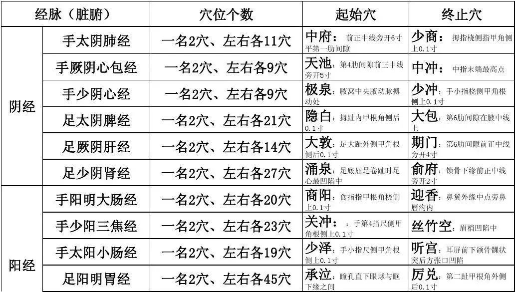 王博士讲穴位 中医经络的神奇