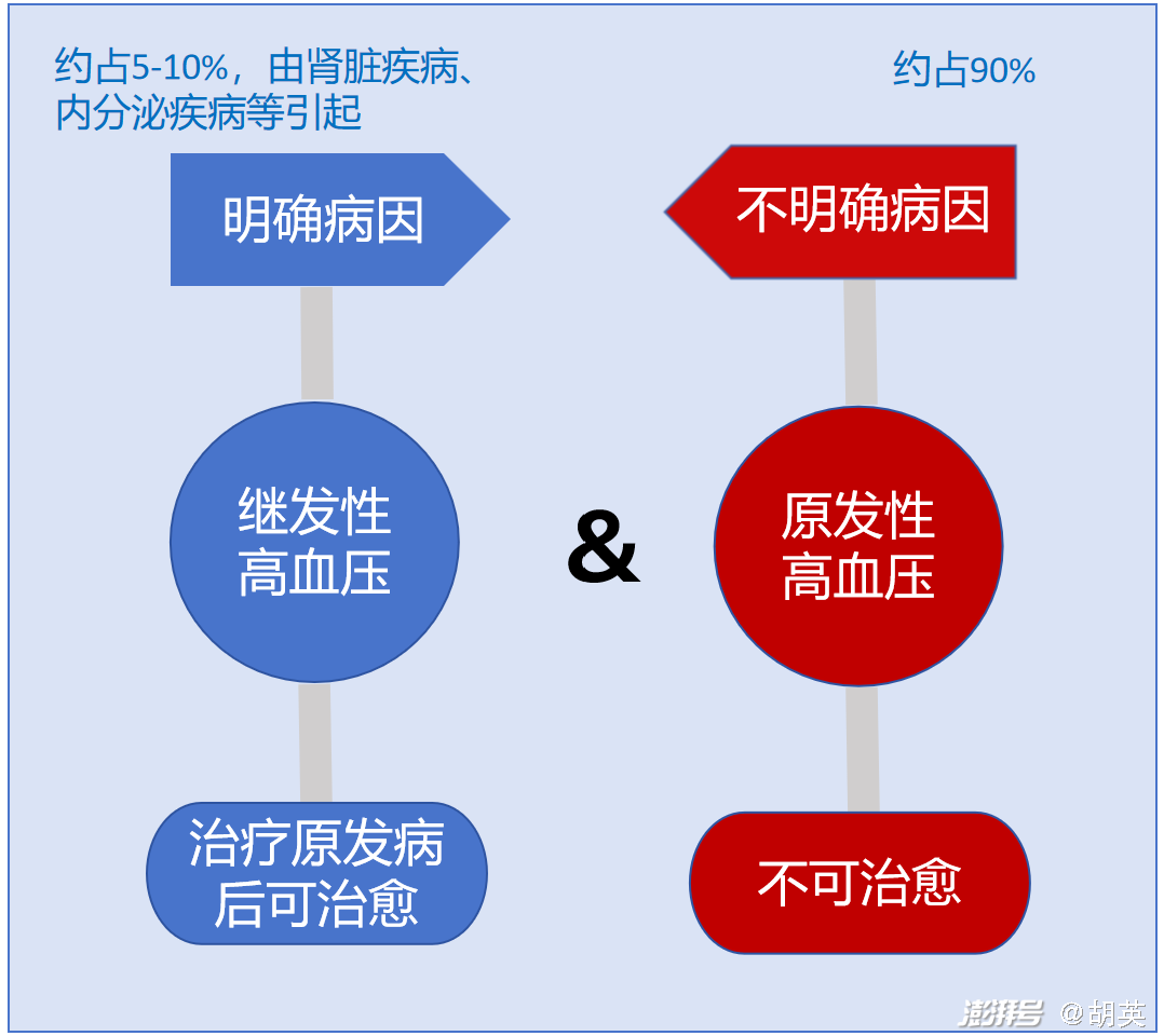 继发性高血压的病因包括肾脏疾病,内分泌疾病