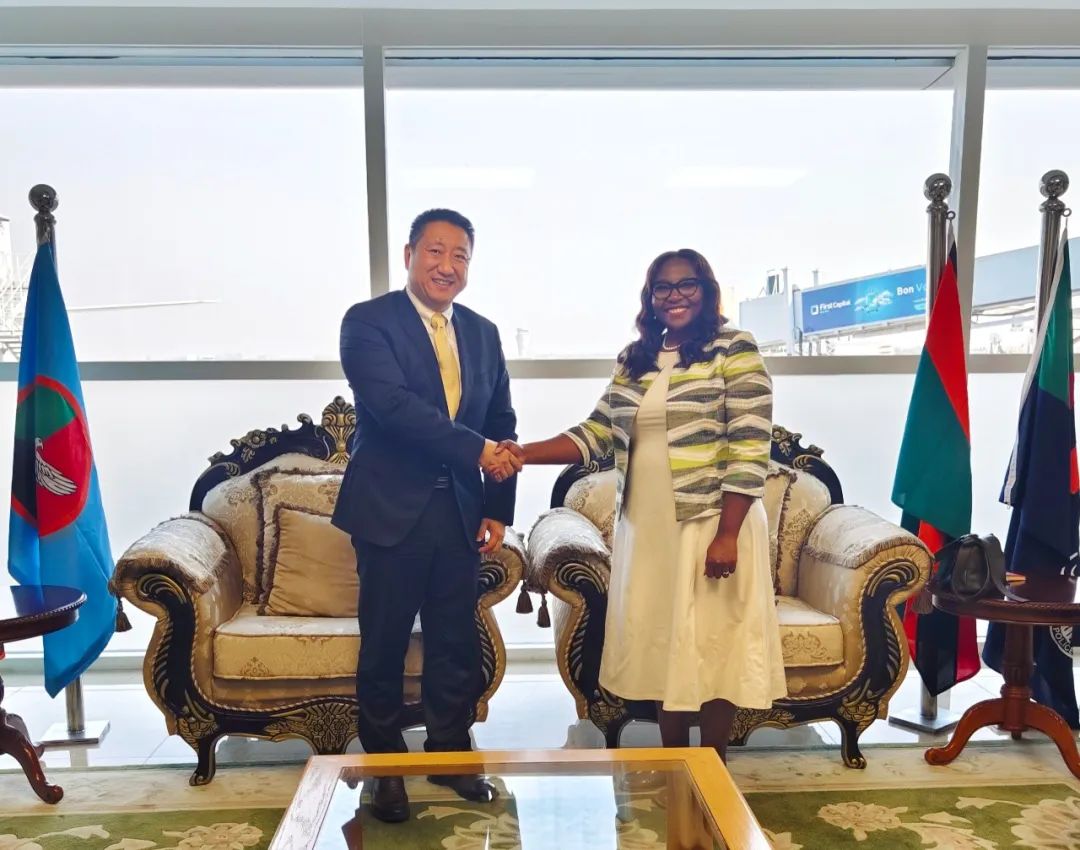 新任驻赞比亚大使抵赞履新