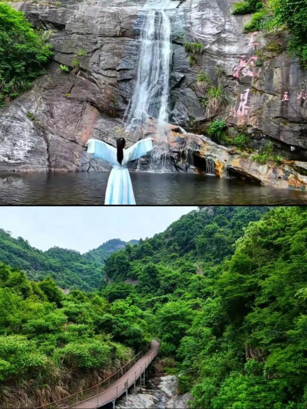 避暑纳凉首选,龟峰山景区开启"人从众"模式