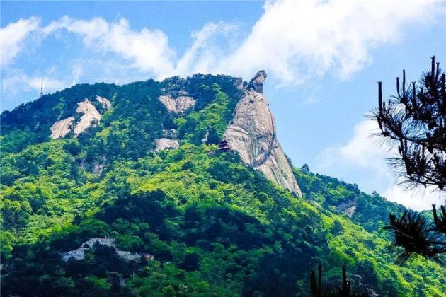 避暑纳凉首选,龟峰山景区开启"人从众"模式
