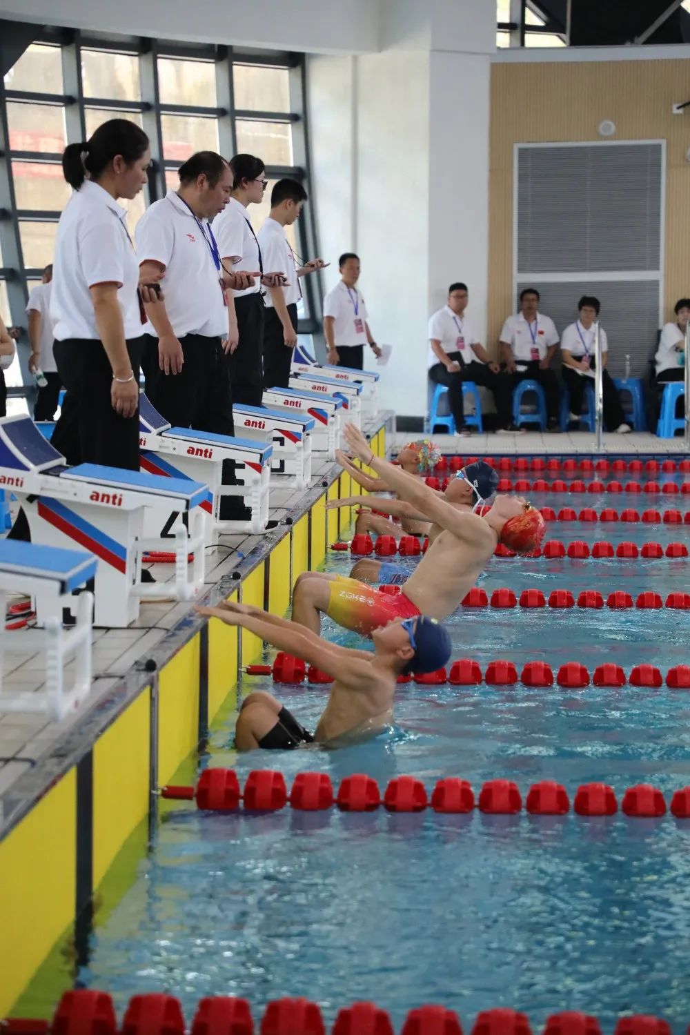 儿童友好|全国青少年体育联合会青少儿游泳巡回赛(庆元站)落幕