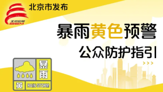 本市发布暴雨黄色、大风蓝色预警，公众防护指引请收好——