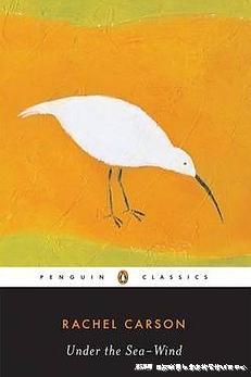 雷切尔·卡森:一个随身携带自然的海洋作家