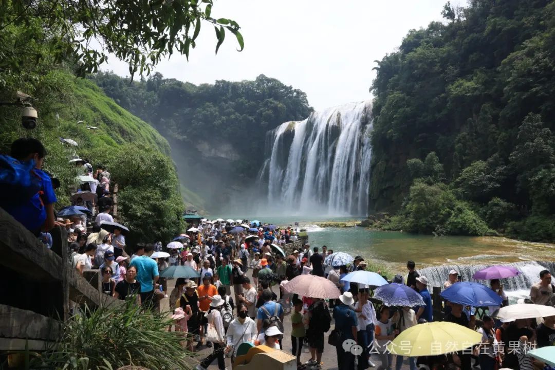 黄果树旅游区:景区游客"人从众" 志愿服务不停歇