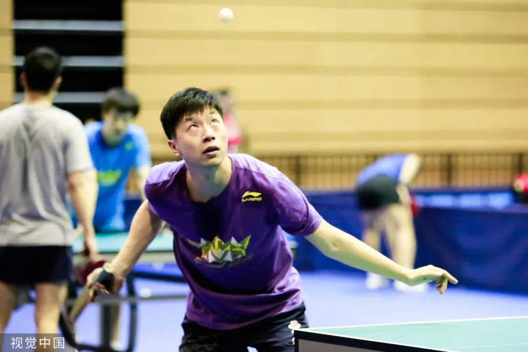 北京3-1上海全运男团夺冠 马龙功成身退_马龙 2024巴黎奥运会 乒乓球运动员