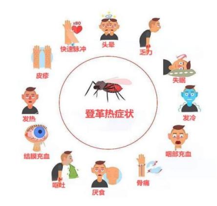 登革热怎么引起的 澎拜新闻