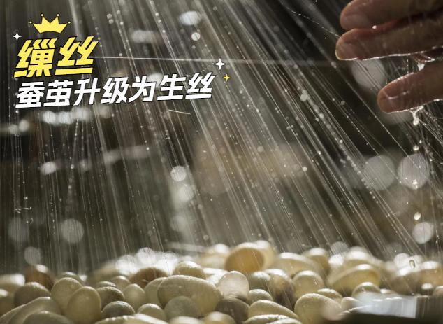 蚕丝拼音 澎拜新闻