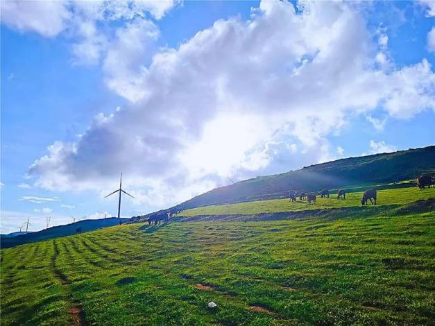 秋高气爽!来丘北舍得草场看风车,策马奔腾