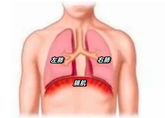 胸膈痞闷位置图图片