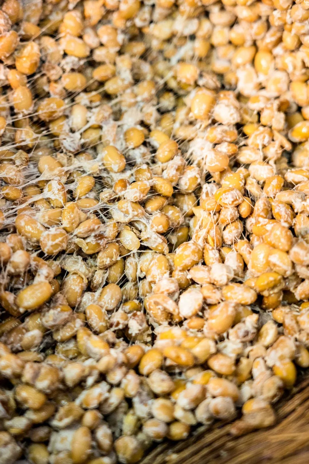 没了这颗"怪味豆",南方人干饭都不香了