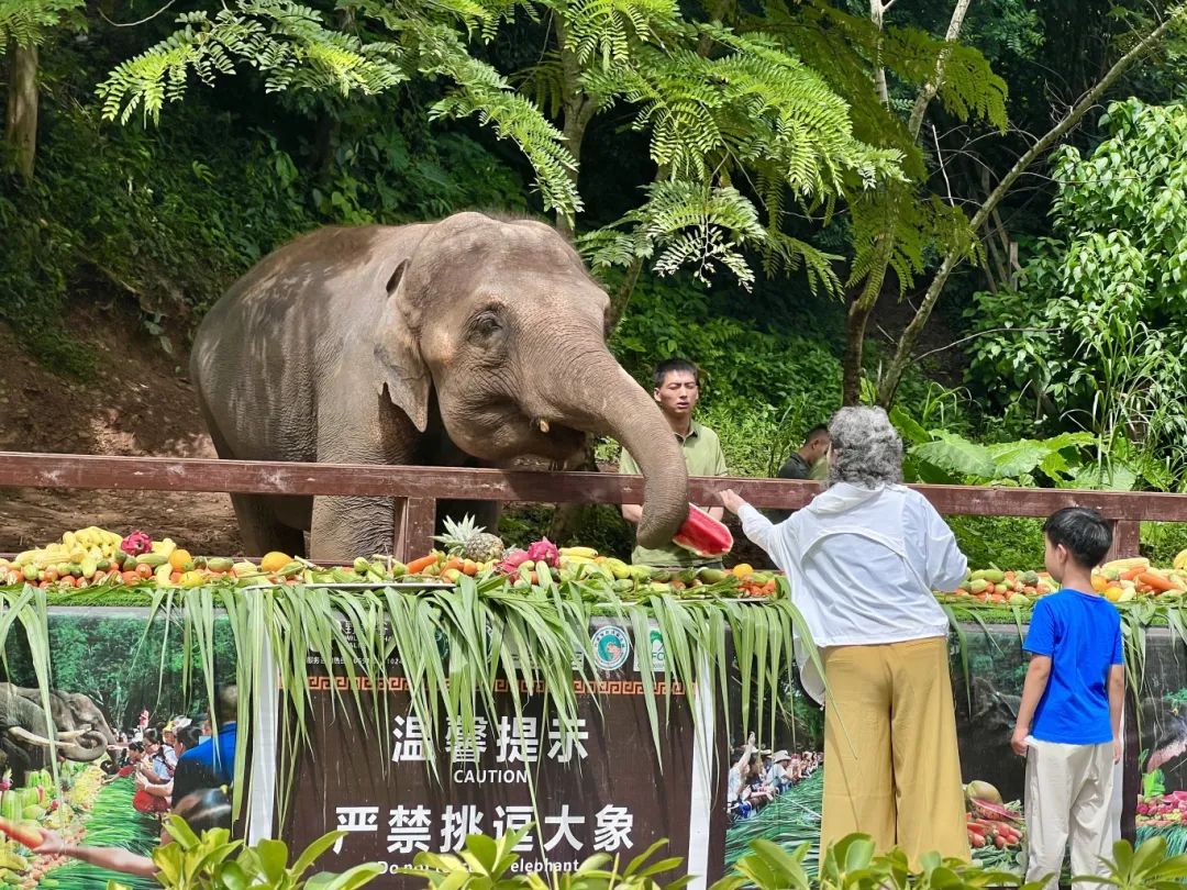 野象谷介绍图片