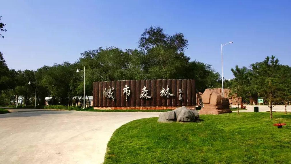 大庆龙凤湿地自然保护区→城市森林→大庆新能源科普馆线路一 / 生物