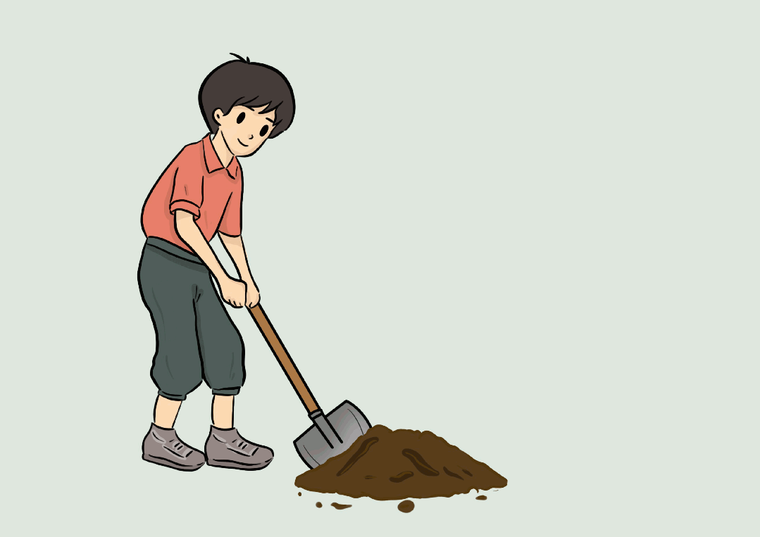 守护美丽家园,我们可以这样做