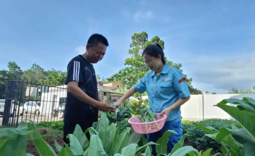 我要去月球种菜!