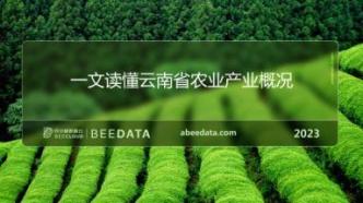 一文读懂云南省种植业概况