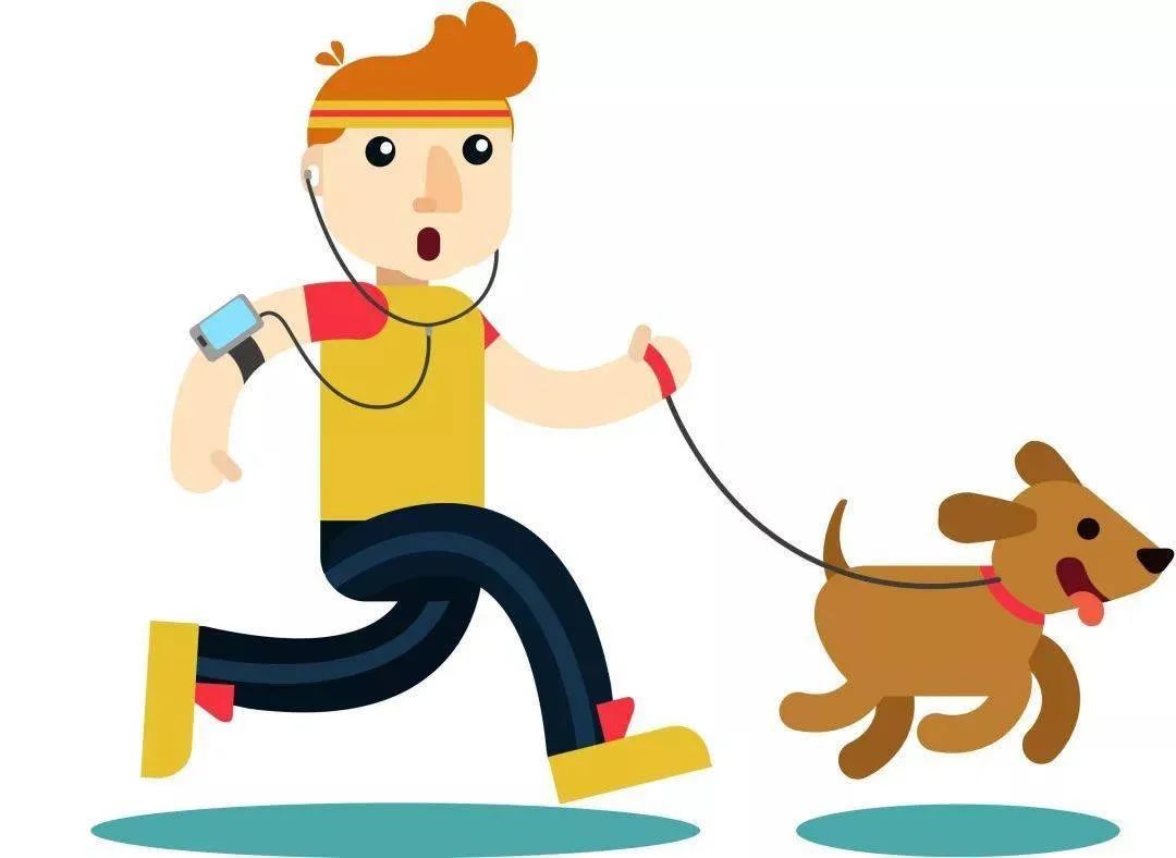 双法"枫"景线丨遛狗不牵绳 被车撞伤谁负责