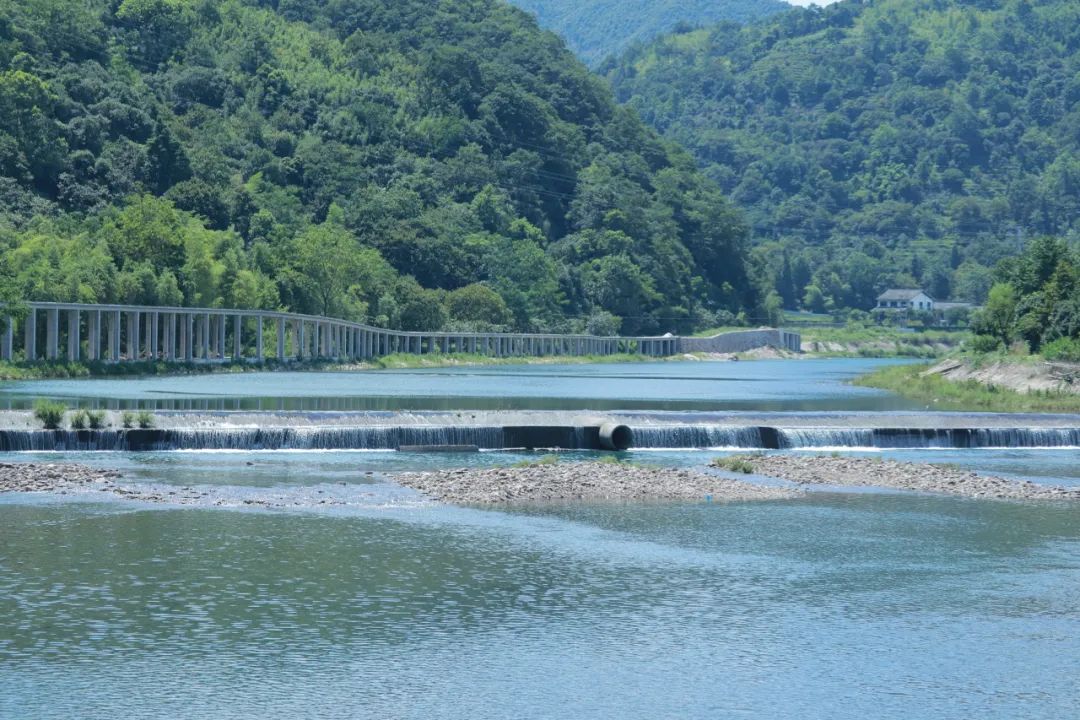 黄岩湿地公园图片