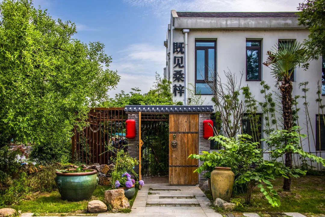 "桃源村党总支书记张谷说.