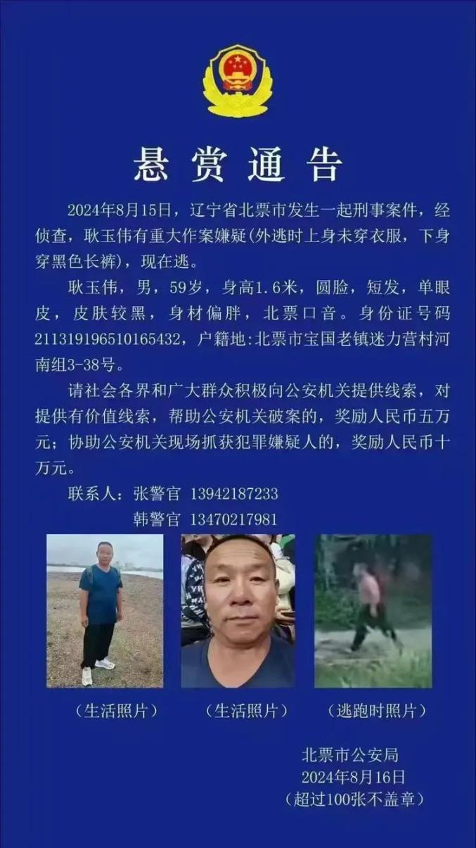 辽宁北票豺狼案件图片