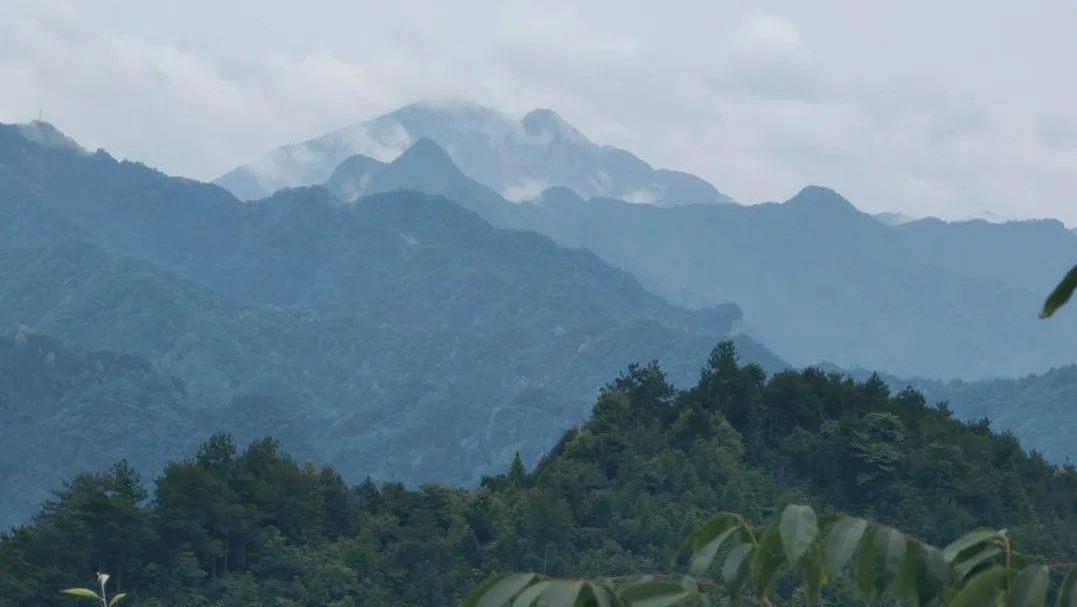 普洱市綠色經濟與GEP自動核算平臺完成遷移，助力區域高質量發展