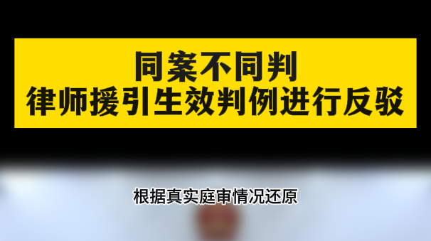 同案不同判，律师援引生效判例进行反驳