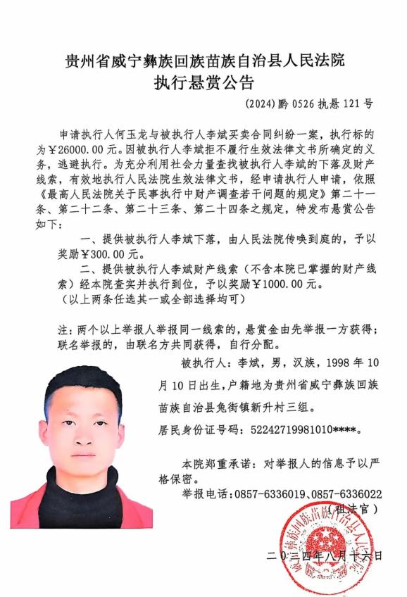 安阳李斌案图片