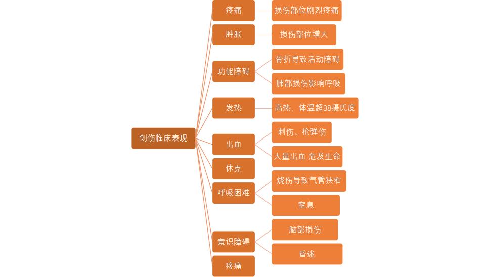 创伤急救知识_创伤类型_创伤不归路在线观看