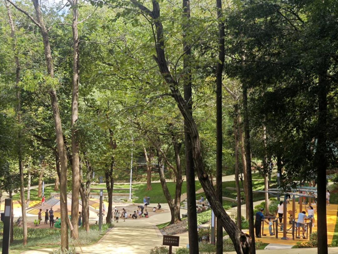 韶关国家森林公园莲花山片区距离中心城区2公里,是集生态旅游,休闲