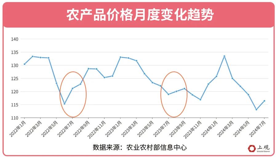 这个夏天，是什么让上海的黄瓜价格上涨？